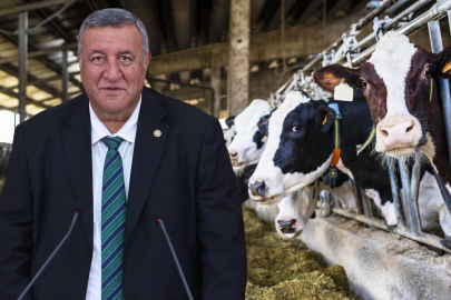 Bir Litre Süt Satıp Bir Buçuk Kilo Yem Alamayan Ülke!