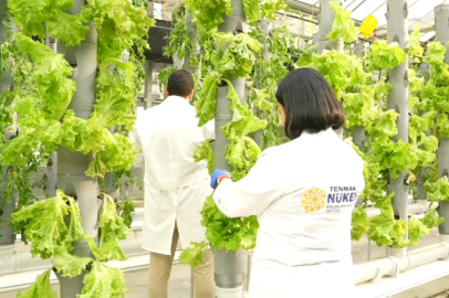 Gıda Güvenliğine ‘TENMAK’ Dokunuşu