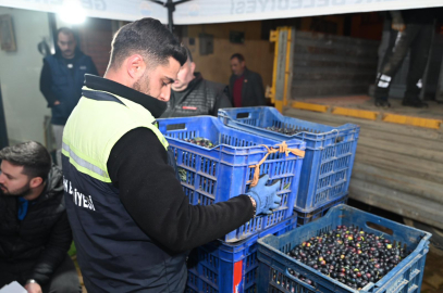 Zeytin Üreticisine Belediyeden Büyük Destek