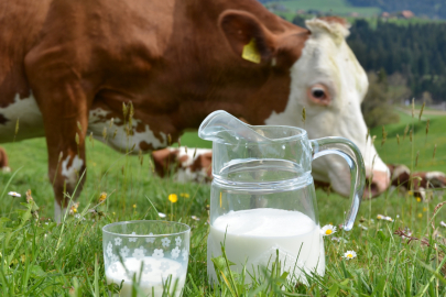 Tarımın ve Ekonominin Devamlılığı İçin Çiğ Süt En Az 27 TL/Litre Olmalıdır!
