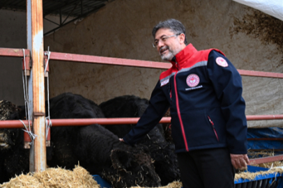 Kırsalda Bereket, Hayvancılığa Destek Projesi Meyvelerini Veriyor