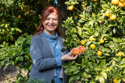 Mersin Kan Portakalı Coğrafi İşaret Tescilini Aldı