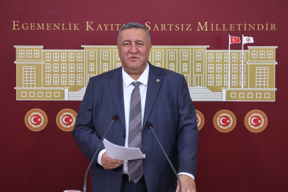 TÜİK'e Göre 2025'te Zeytinde Kayıp %34,7!