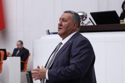 CHP'li Gürer: ''GAP Biterse Gıdada Arz Sorunu Biter''