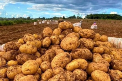 CHP'li Gürer: "TMO Patatesi Alsaydı Çiftçinin Zararı Ortadan Kalkardı"