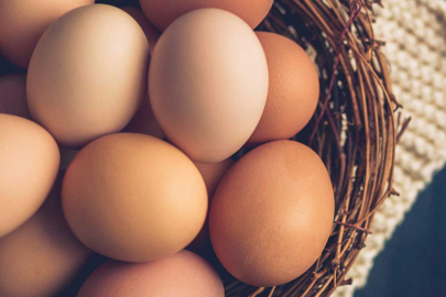 Tavuk Eti Üretimi Artarken, Yumurta Üretimi Azaldı