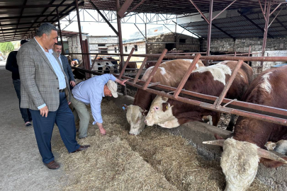 Sütün Kaymağını Üreten de Tüketen de Yiyemiyor!