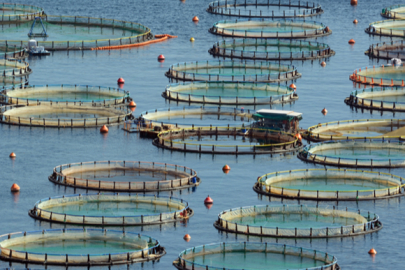 Bakan Yumaklı: "Türkiye Bölgenin Lideri"