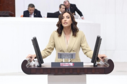 CHP’li Rızvanoğlu: "Faiz Bütçesi Büyüyor, İklim ve Çevre Bütçesi Küçülüyor"