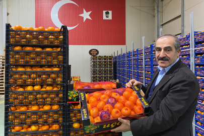 Mandalina İhracatı Tarih Yazıyor