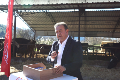 Süt Sığırcılığı Sağım Hijyeni ve Sanitasyon Kursu Düzenlendi