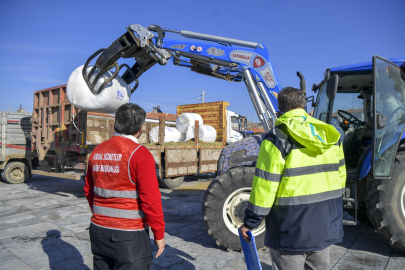 ABB Mısır Silajı Desteğiyle Üreticilerin Yanında