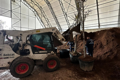 Torf Üretimi İle 50 Milyon Lira Tasarruf Sağlanıyor