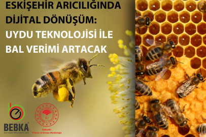 Uydu Teknolojisi İle Bal Verimi Artacak