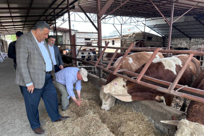 CHP’li Gürer: ''Asgari Ücret Cebe Girmeden Et Fiyatı Arttı''