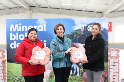 Han ve Mahmudiye'de Üreticilere Mineral Blok Desteği