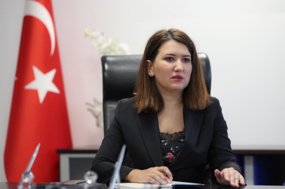 CHP'li Gökçen, Barış Akademisyenlerinin Durumunu Sordu