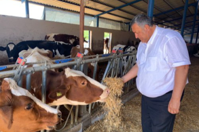 Gürer: "Besilik Sığırın İthalat Fiyatı 4 Yılda Yüzde 60 Zamlandı!"