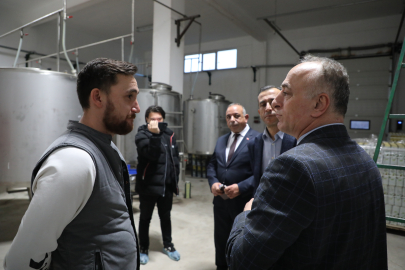 Sarıcakaya'da Zeytin ve Zeytinyağı Üretimi Artıyor