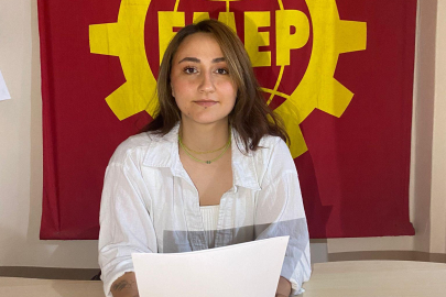 Saray Rejimi Gider, Gazetecilik Kalır