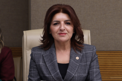 CHP'li Kış: ''Bu Düzenleme CHP’li Belediyeleri Hedef Alıyor''