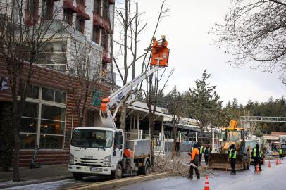 Büyükşehir'den Kent Merkezinde Kış Budaması