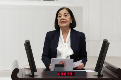 CHP'li Süllü Emekli Veteriner Hekimlerin İsyanını Meclis’e Taşıdı