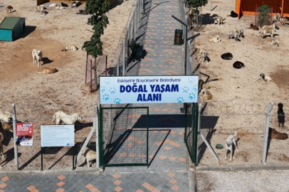 Görüntüleri Araştırıp Olayı Aydınlatacağız