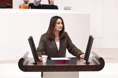 Çocukların Suça Sürüklenmesi Güvenlik Sorunu Değil Sosyal Devlet Krizi!