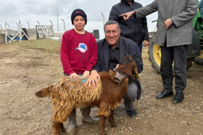 CHP'li Gürer: "Hayvancılıkta Kan Kaybı Yaşanıyor"