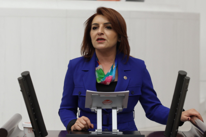 CHP'li Gülcan Kış: "Afet Bakanlığı Kurulmalı!"