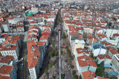 Hamamyolu Caddesi’nde Ağaç Budama Çalışması Başlıyor