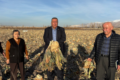 CHP'li Gürer: "İsraf Tarlada Başlıyor"