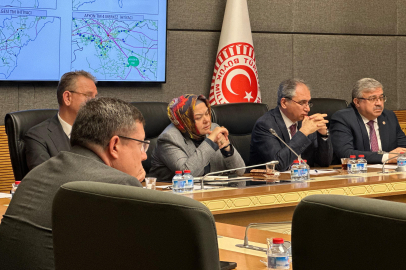 Eskişehir’in Elektrik Sorunları TBMM’de Ele Alındı