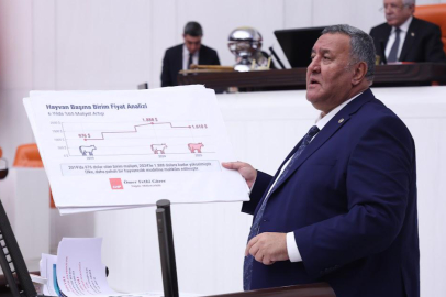 3 Yılda 112 Bin Hayvancılık İşletmesi Kapandı