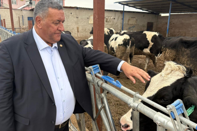 Üretici Ayakta Kalma Mücadelesi Veriyor!