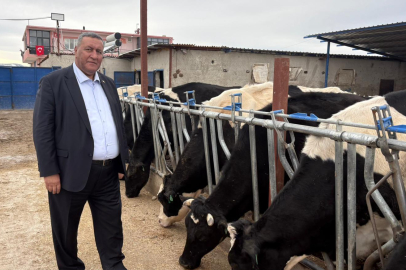 Gürer: "Hayvancılıkta Sorunları Seyrederek Çözüm Gelmez"