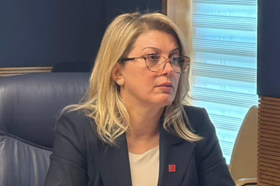 Asu Kaya: "Yandaş STK'lara Yer mi Açılıyor?"