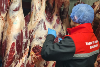 Şehrin Dört Bir Yanında Gıda Denetimleri Sürüyor