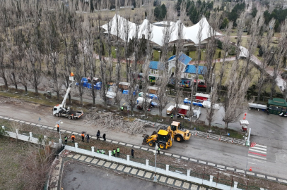 Ekolojik Ömrünü Tamamlayan Kavak Ağaçları Yerini Çınarlara Bırakıyor