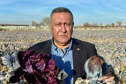 Gürer: ''2025 Yılı Üretim Kaybı Rafa Zam Olarak Yansıdı''