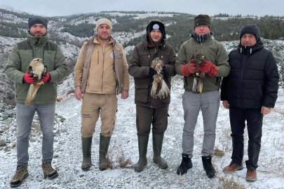 Hayvanat Bahçesinden Yaban Hayatına Umut
