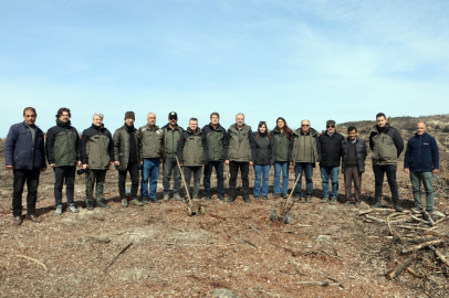 Seyitgazi'de Yangın Sonrası Ağaçlandırma Çalışmaları Başladı