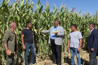 Çiftçiden Ucuza Alındı, İthal Ürün Pahalıya Satıldı