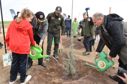 Orman Haftası Hazırlıkları Tamamlandı