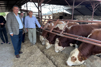 17 Bin Kilometre Öteden Et İthalatı!