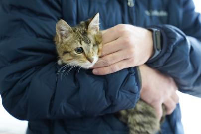 Tepebaşı Patili Canlara Umut Oluyor