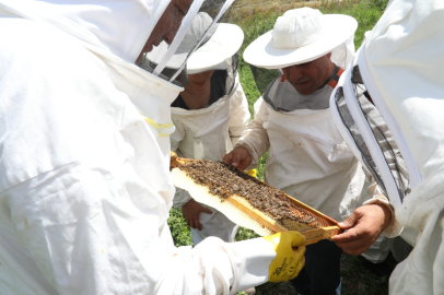 Odunpazarı’nda Arıcılık Eğitimleri Başladı