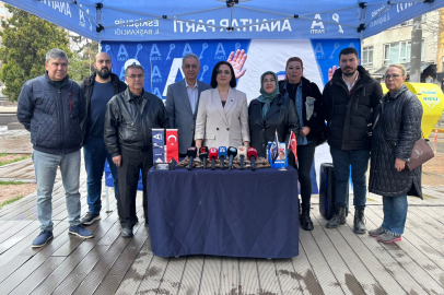 Barınak Yapmak ve Topla Götür Anlayışı Kalıcı Çözüm Değil