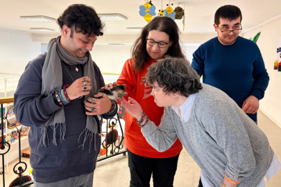 Özel Çocuklardan Sokak Hayvanlarına Sıcak Yuva